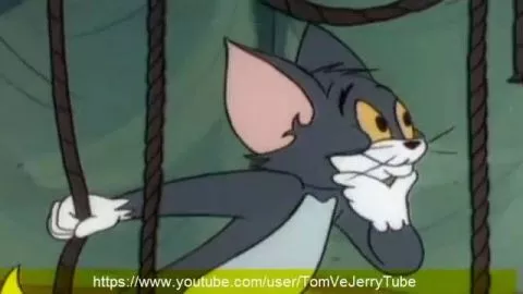 Tom Ve Jerry İzle Türkçe Çizgi Film İzle