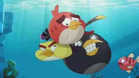 Angry Birds - Yüzme Zamanı