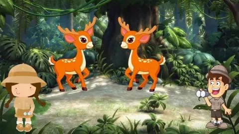 Orman Hayvanları - Eğlenceli Çocuk Videoları