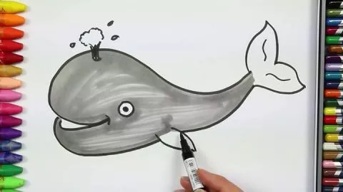 Balina Nasıl Çizilir - Çizelim Boyayalım