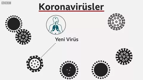 Korona Virüsü (Corona Virus) Nedir, Nasıl Korunulur?