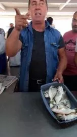 Balık Mezatı - Açık Arttırmayla Balık Satışı