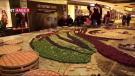Gaziantep'te Baklava Dilimleriyle Dünyanın En Büyük Mozaiği