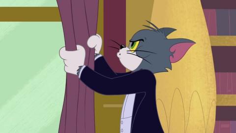 Tom ve Jerry - Bacalar ve Merdivenler