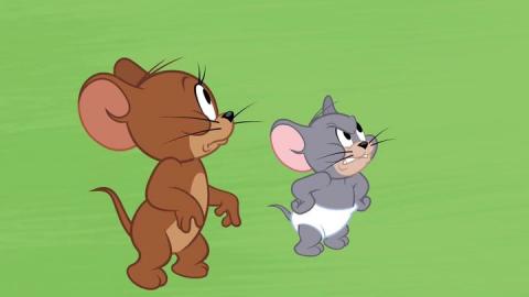 Tom ve Jerry - Butch İşleri Karıştırıyor