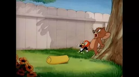 Tom Ve Jerry Ağaçkakan