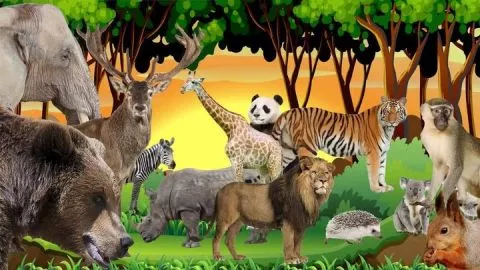 Çocuklar Orman Hayvanlarını Öğreniyor