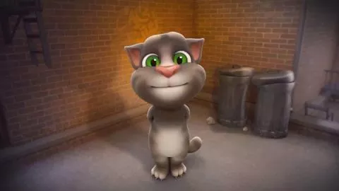 Konuşan Kedi Tom Çook Komik 2017