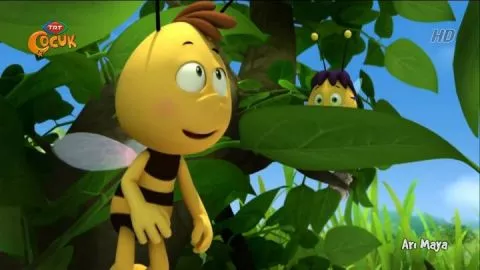 Arı Maya - Yabancı
