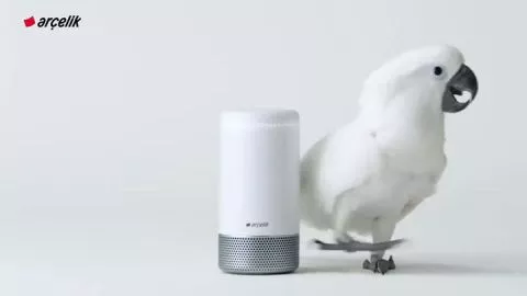 Arçelik Papağan Reklamı Yeni 2019