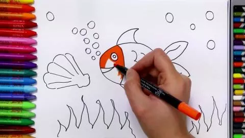Balık Nasıl Çizilir - Çizelim Boyayalım