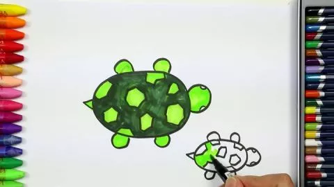 Kaplumbağa Nasıl Çizilir - Çizelim Boyayalım