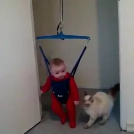 Bebekler ve Kediler