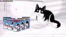 Akıllı Kediler Felix'i Kapar Reklamı