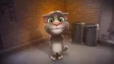 Konuşan Kedi Tom Çook Komik 2017